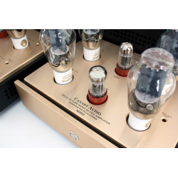 Her ser du M330 - 300B Push-Pull Mono Block Power Amplifiers (300B tubes not inc.) pair fra Canary Audio